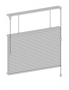 Top-Down Bottom-Up System